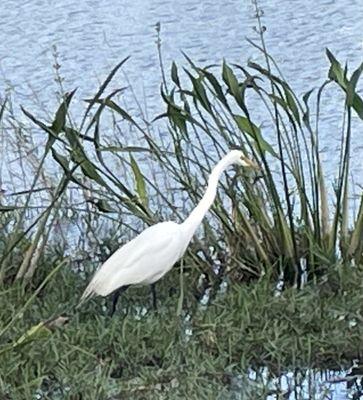 Walmart Vision & Glasses