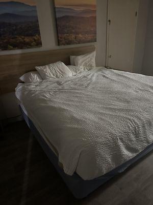 Dirty room bed not changed or made. Light switch didn't work no light in hallway under stairs. Dryer vomit all over the parking lot. BEWARE