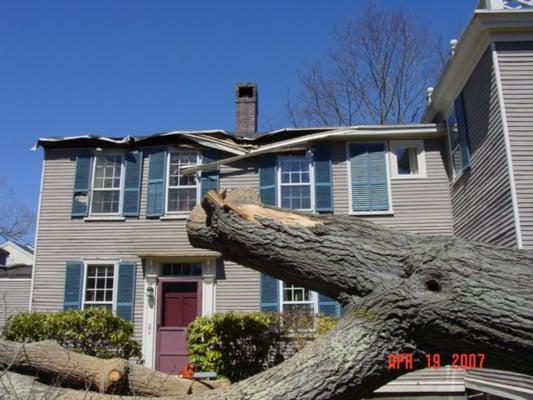 The tree that couldn't deter Auld Building.