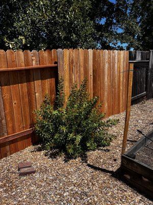 All Seasons Tree Service