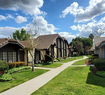 A P L Professional Landscapes