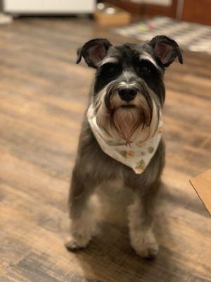After groom pictures