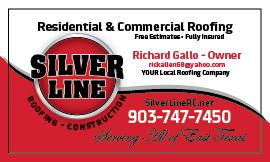 Silver Line Roofing & Construction