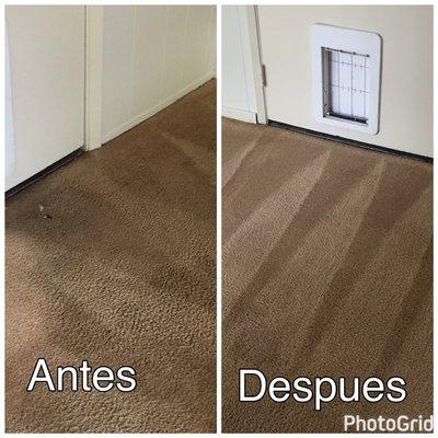 HHD Janitorial & Carpet Cleaning