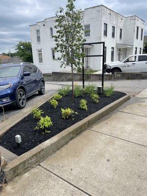 Wofford's Nursery & Landscaping of Clarksville