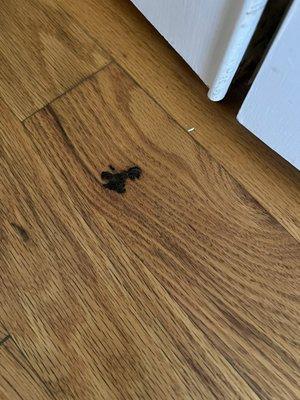 Carla’s Crystal Cleaning Service