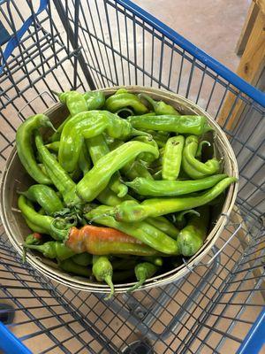 Wagner Farms