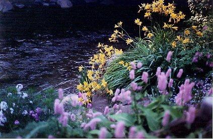 Labour of Love Landscaping & Nursery