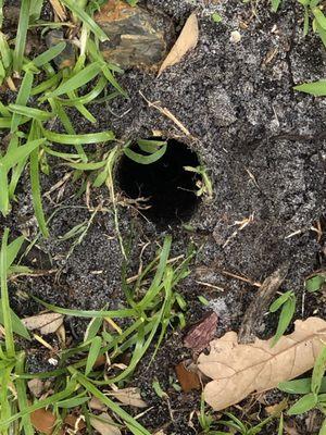 Paramount Property Services