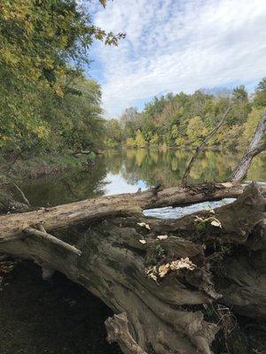 Conodoguinet Creek