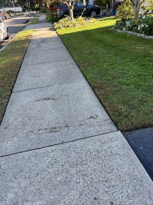 Deieso Landscaping Services