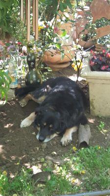 City View Apartments