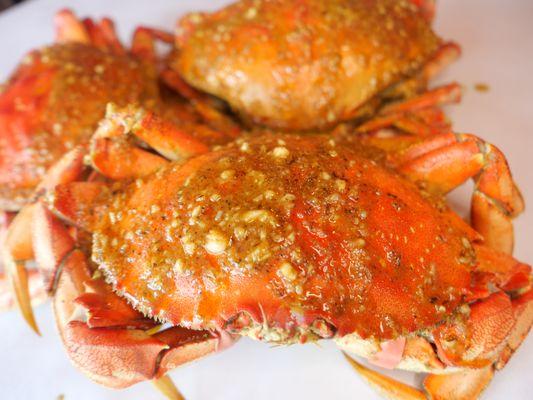 Live Crab