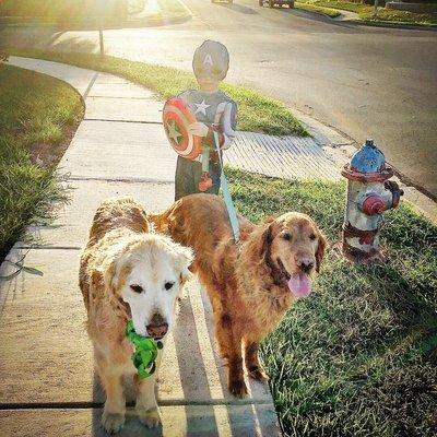 County Line Animal Hospital