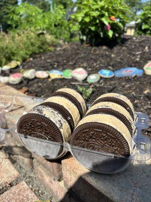 6 Pack Ice Cream Sandwich