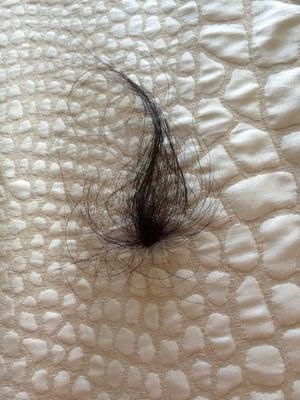 Angie's Beauty Salon