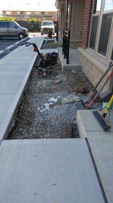 Autumn Oak Landscaping