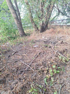 Big Hoss Junk Removal