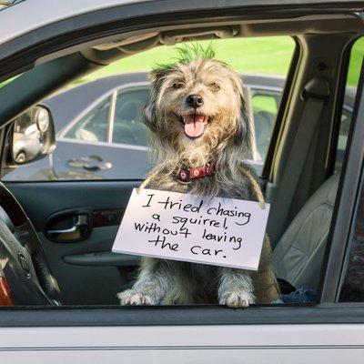 Brian Beechler Insurance