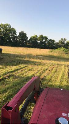 Merryman Land Management