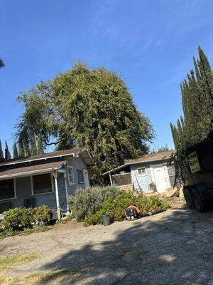 All Year Landscaping Services