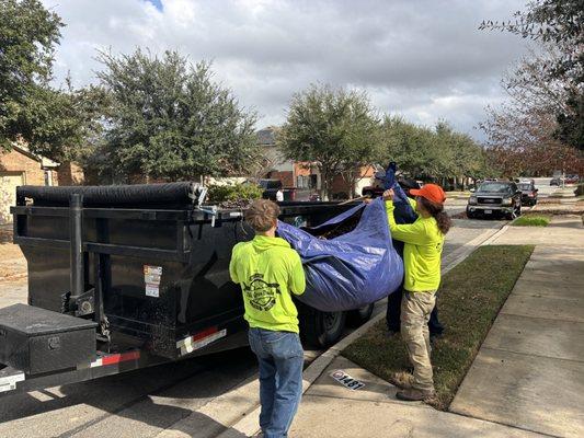 The Green Dude Organic Lawn Care