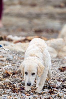 Spooner's Cove at Montaña de Oro State Park - Los Osos, CA