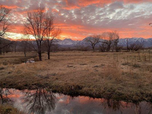 The Bishop Area Chamber of Commerce
