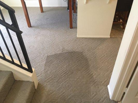 Emilio's Carpet and Furniture Cleaning