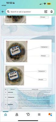 The Villages at McCullers Walk Apartments