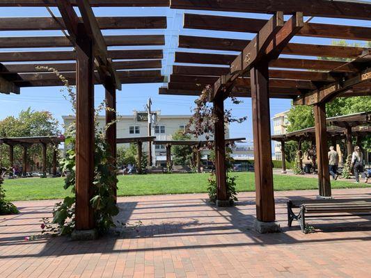 View from outdoor table