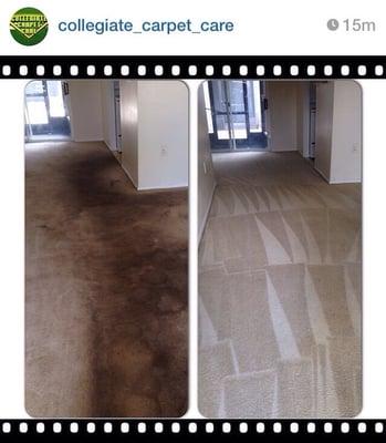 Collegiate Carpet Care