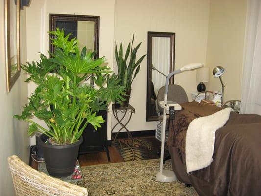 Executive Lash Lounge & Training Academy