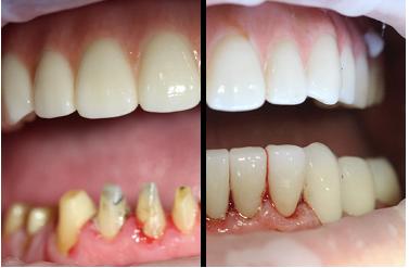 Alexandra Jaquery, DDS