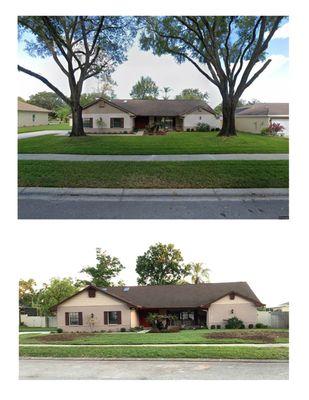 Advanced Tree Service