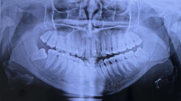 Safety Harbor Middle School