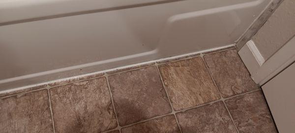 Trustworthy Services