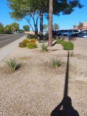 Eco Eclipses Landscape