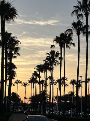 Garfield Elementary School