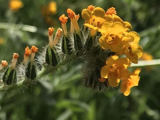 San Antonio Medical Clinic