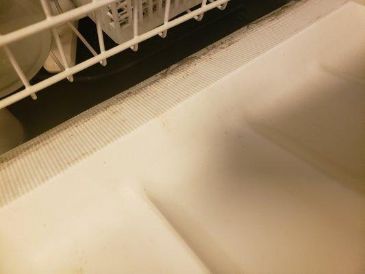 Nasty garbage disposal water in the dishwasher