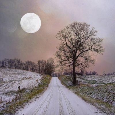 Foothills Studio & Gallery