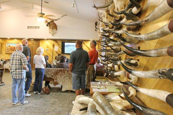 Longhorns Head To Tail Store