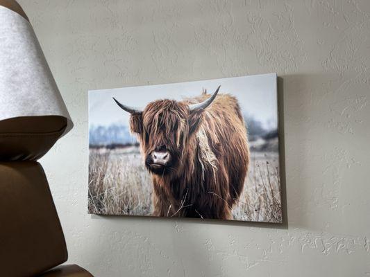 Casa Grande Chiropractic : Tim Hoyt, DC