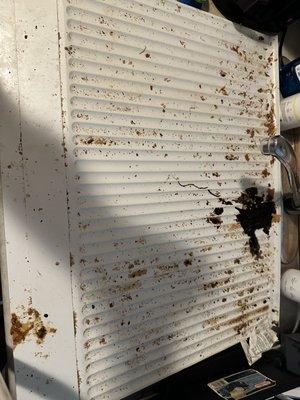 Fridge overhaul, hasn't been cleaned in years!