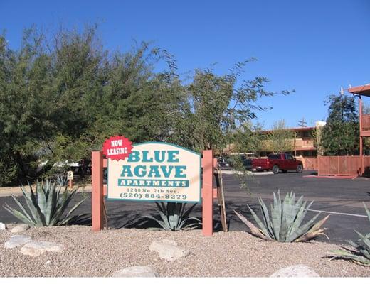 Blue Agave Apartments