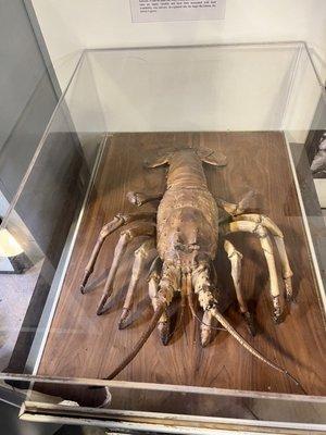 Cabrillo Marine Aquarium