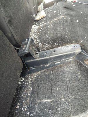 B&A Protege's Auto Detailing And More