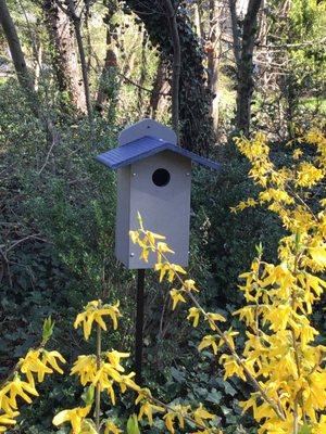 Backyard Birds Emporium