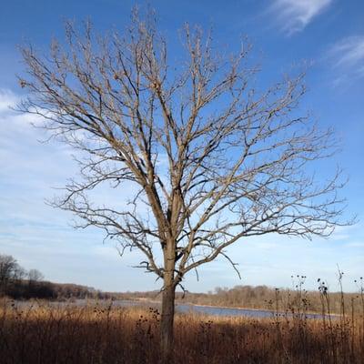 Tinley Creek Bike Trail